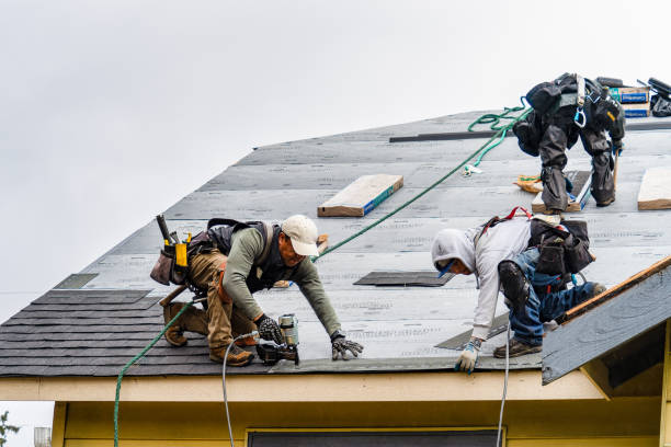 Professional Roof Inspection technician working in East Norwich, NY
